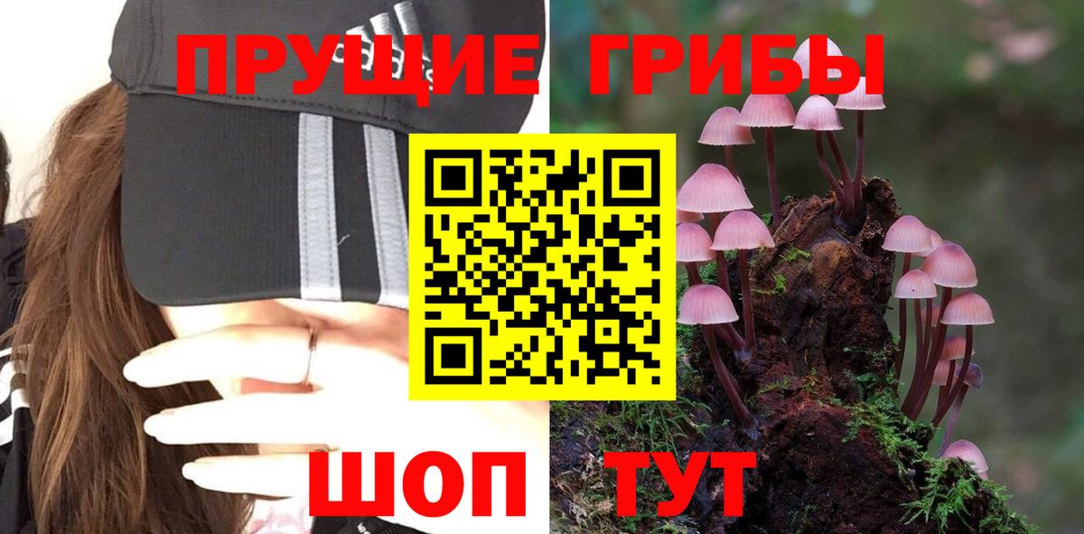 Псилоцибиновые грибы MAGIC MUSHROOMS  Псилоцибиновые грибы мухоморы  Россия  даркнет сайт  Вход с VPN 