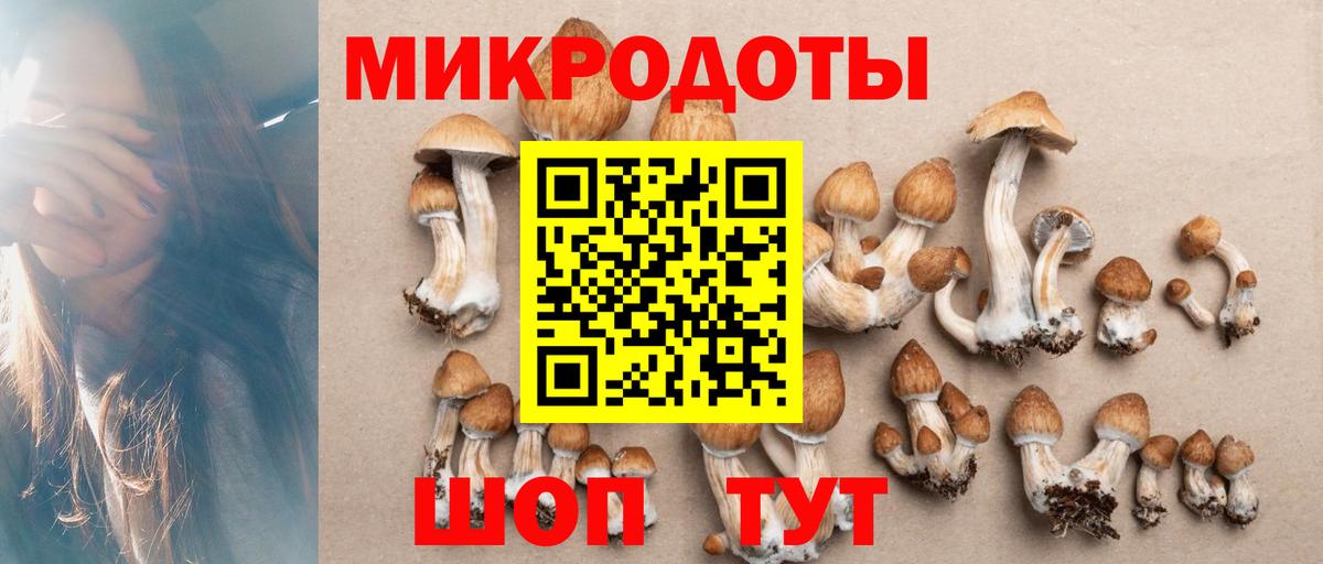 Галлюциногенные грибы Cubensis Россия