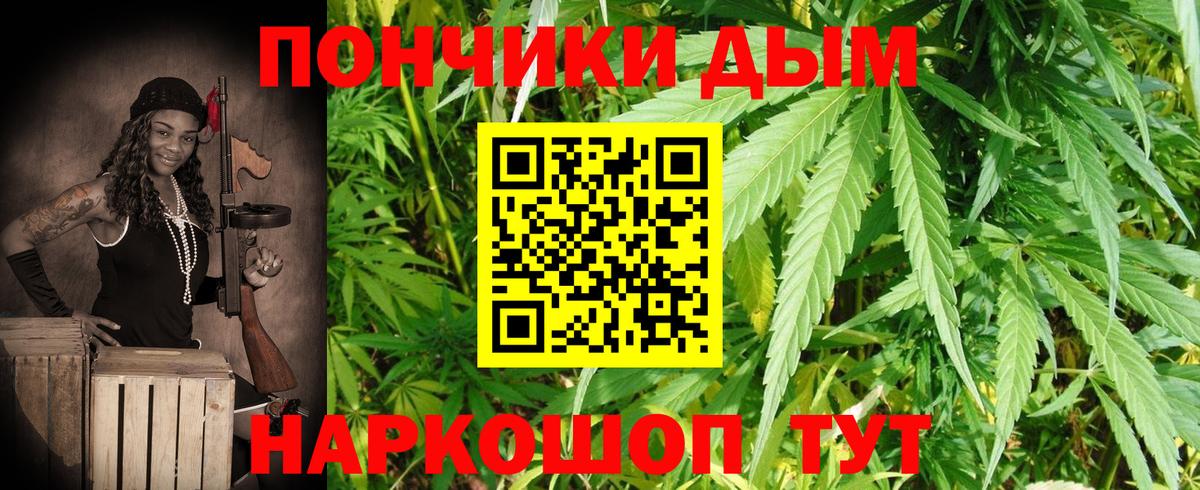 Канабис семена  Марихуана конопля  Бошки марихуана сатива  Россия  Бошки Шишки SATIVA & INDICA  Вход с VPN 